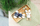 Brelok pelushi NICI Lemur Ruffi, 10 cm, linja Green, gri