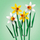 Set ndërtimi LEGO Icons Daffodils 40747, 216 pjesë, 8+, shumëngjyrësh