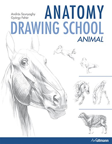 Anatomy Drawing School Animals - Andras Szunyoghy