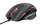 Maus Trust GXT168, i zi