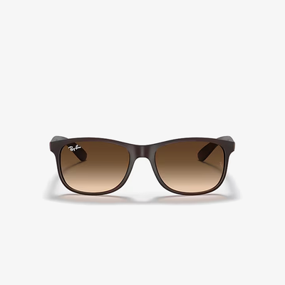 Ray-Ban RB4202 607313 55