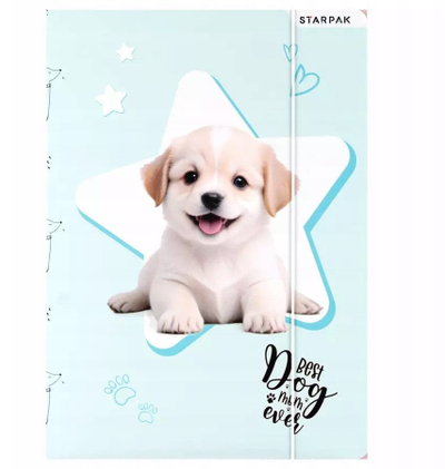 Dosje me gomë A4 Cuties, me breza elastik, shumëngjyrëshe