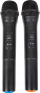Kuti zani Trevi XF1560, 15", Bluetooth, me mikrofonë wireless, e zezë