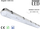 Trup ndriçimi hermetik Inoxx LED, 2x120cm T8 G13, IP65, gri