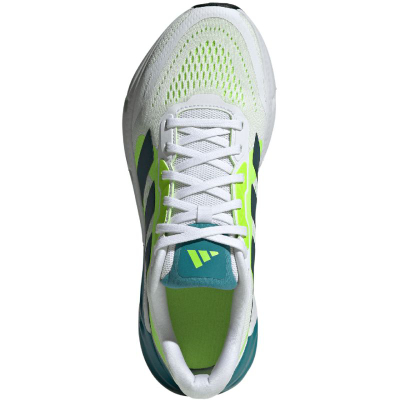 Atlete burrash Adidas Questar 2