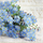 Serveta letre Duni Napkin P SDL120108, 33x33 cm, 3-shtresore, me lule blu