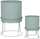 Set me vazo zbukuruese Aze, 2 copë, çelik, 30x44.3cm, jeshile celadon