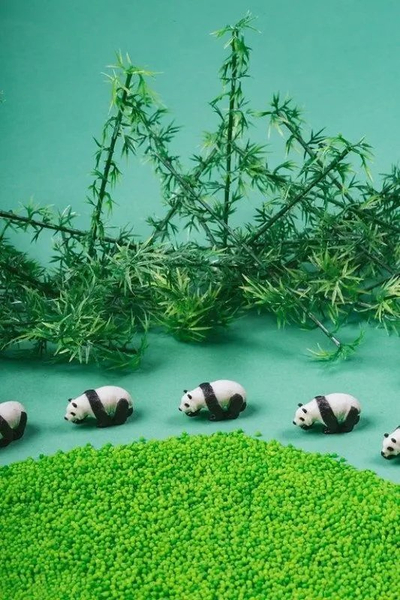 Lodër ndijore Petit Boum Sound Panda, +3m, pa BPA, e tejdukshme
