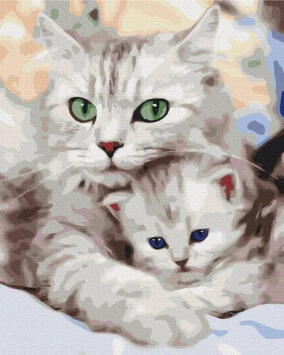 Set pikturimi me numra Symag Cat Mom, kanavacë 40x50cm, për fillestarë, shumëngjyrësh