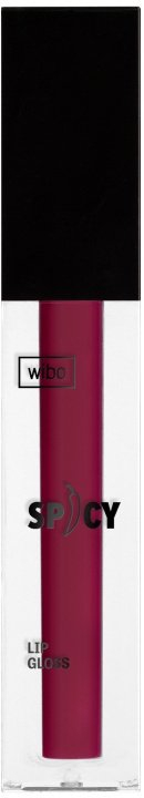 Lip gloss WIBO Spicy 33, efekt zmadhues, 3ml, rozë