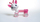 Lodër interaktive Tiny Love Roe-deer Florence, e pembe