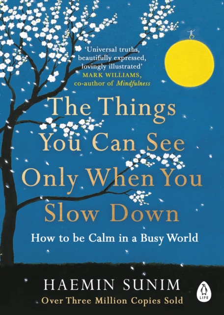 The Things You Can See Only When Slow Down - Haemin Sunim