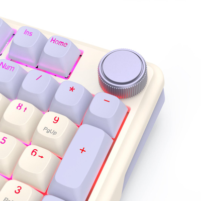 Tastierë mekanike Redragon Eisa 100 RPC K768VI-WL, wireless Bluetooth 2.4 GHz, RGB, me pastel