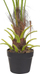 Bimë artificiale në vazo FAN PALM, 100 cm, jeshile