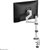Mbajtëse tavoline për monitor Neomounts DS60-425WH1, 17"-27", deri 8kg, e bardhë