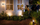 Llambë muri LED Philips Hue (1740193P0), 1x9.5W, e hirtë