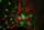 Efekt drite skenik Light4me Discush LED Flower Ball, 30W, DMX, RGBW, i bardhë