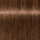 Ngjyrë për flokë Schwarzkopf Igora Royal, Chocolate GOLD 6-65, 60 ml
