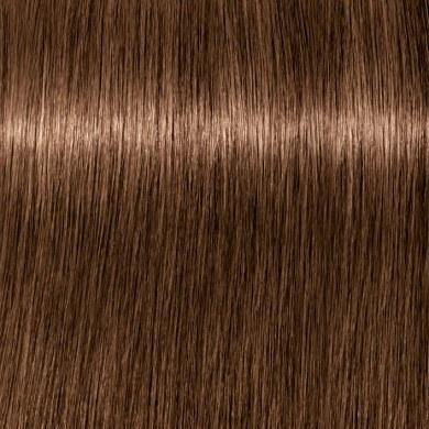 Ngjyrë për flokë Schwarzkopf Igora Royal, Chocolate GOLD 6-65, 60 ml