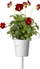 Kapsula bimore Click &amp; Grow Red Pansy, set me 3 copë, për Smart Garden, të kuqe