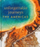 Unforgettable Journeys The - Dk Travel