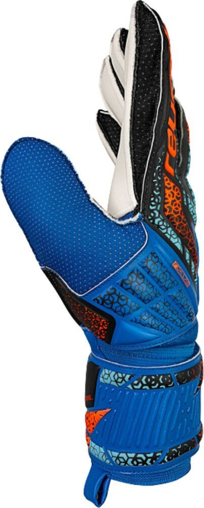 Doreza portieri Reusch Attrakt Solid M 5570515 4467, shkumë Solid rezistente, manshetë elastike, blu