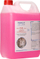Pastrues sanitar Debiut Plus Professional D3 Sanit, për përdorim ditor, 5L