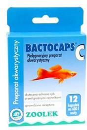 BACTOCAPS C 12 tabl