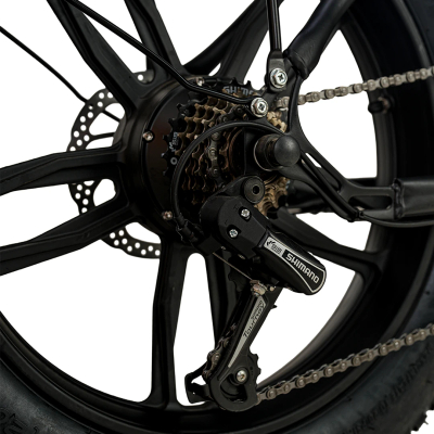 Biciklete Elektrike FC Bike 2025
