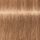 Ngjyrë për flokë Schwarzkopf Igora Royal, Chocolate GOLD 9-65, 60 ml