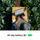 Apple MacBook Pro 14", M4 10‑core, 16GB, 1TB SSD, 10‑core GPU, Space Black