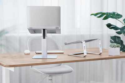 Stendë laptopi Gembird NBS D1 02, deri 15.6", alumin, argjendtë