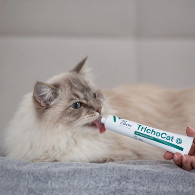 Pasta anti-hairball për mace VetExpert TrichoCat, suplement tretjeje, 120g