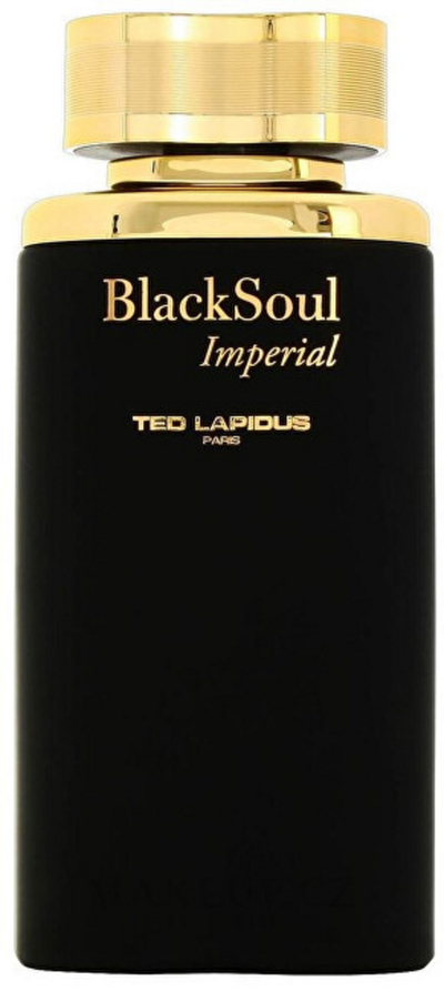 Eau de Toilette Ted Lapidus Black Soul