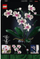 Set LEGO Creator Expert 10311 Orchid, 608 pjesë