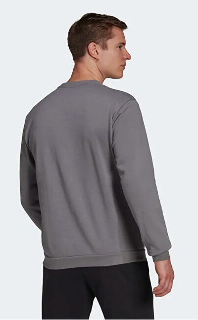 Duks për meshkuj Adidas Entrada H57479, i hirtë