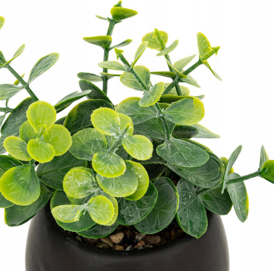 Bimë artificiale Livy Succulent, 17cm, vazo qeramike e zezë