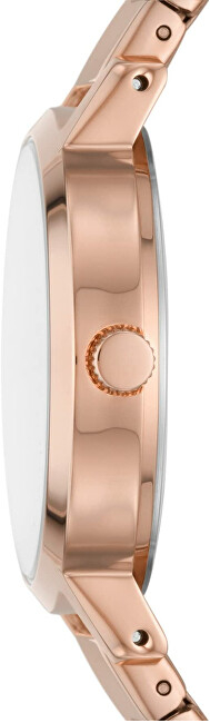 Orë dore DKNY NY2998