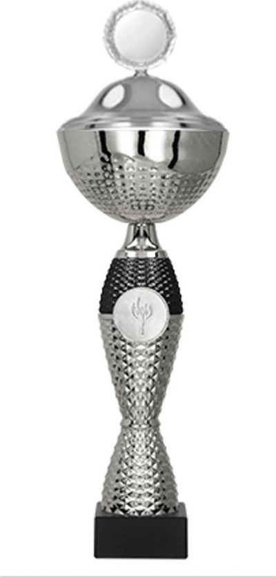 Kupë trofe metalike 8347/DP, 35cm, diametër 10cm, argjend me të zezë
