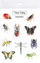 Magnetë për frigorifer Mama Maluje Insect Magnets, set edukativ për kalamaj, 14x20 cm, shumëngjyrësh