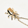Qafore PDPAOLA BALANCE Beetle Amulet CO01-257-U