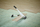 Prerës paneli WOLFCRAFT LC100 210 mm (6933000)