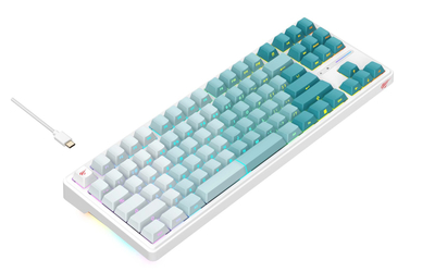 Tastierë Havit KB901L -  USB, e bardhë/gjelbër