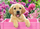 Puzzle Castorland, 300 elemente