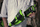 Trimmer bari Greenworks G40LT, 40V, 30cm, jeshil