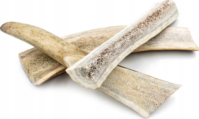 Shpërblim për qen 4DOGS Halved Deer Antler Standard L, brirë dreri natyral, i prerë më dysh, ngjyrë natyrale