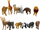Set lodrash Gazelo Figurina Wild Animals, 6 copë, plastikë, shumëngjyrëshe