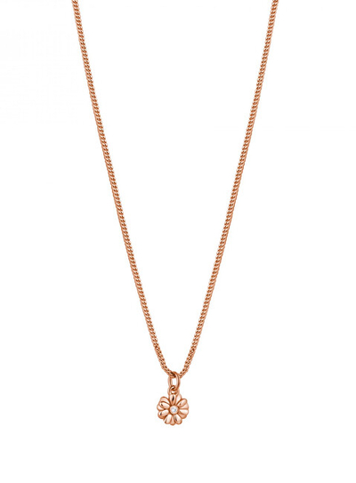 Qafore Rosato Daisy RZAL036