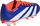 Këpucë futbolli për kalamoj adidas Predator League MG Jr IF6412, për fusha të forta dhe artificiale, blu me portokalli