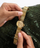 Orë dore për femra GUESS GW0666L2